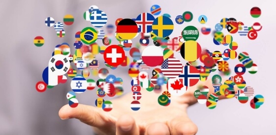 Contribution Grant to International Organisations